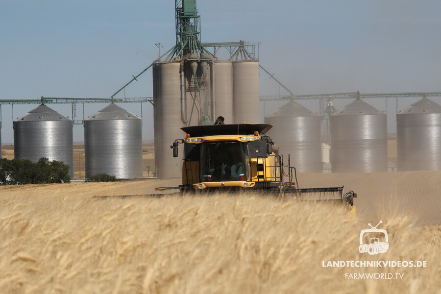 Grain Harvest Canada_05.jpg